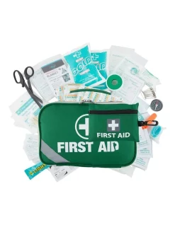 Hot Sale 🌟 Living Today 258 Piece Emergency First Aid Kit Green PE0146 🧨