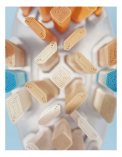 Outlet 🎉 Philips Sonicare Premium All-In-One Brush Heads White HX9092/67 2 Pack ⌛ -Philips Shop unnamed file 33